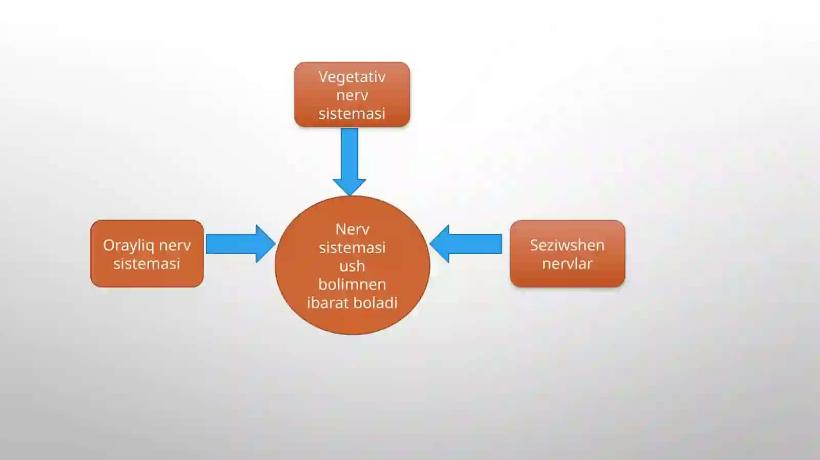Orayliq nerv sistemasin paseytiwshi ha’zirgi kunde qollanilatugin dari zatlar farmakologiyasi 3