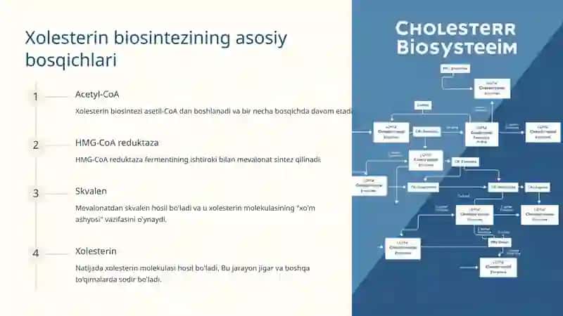 Xolesterin biosintezi: tushunish va boshqarish 3