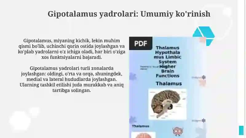 Gipotalamus ozaklari va ularning klinik ahamiyati 3