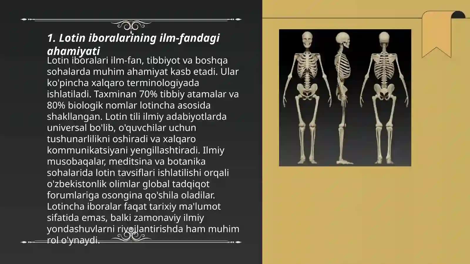 Lotin iboralarining hayotimizdagi barcha jabhalardagi o'rni 3