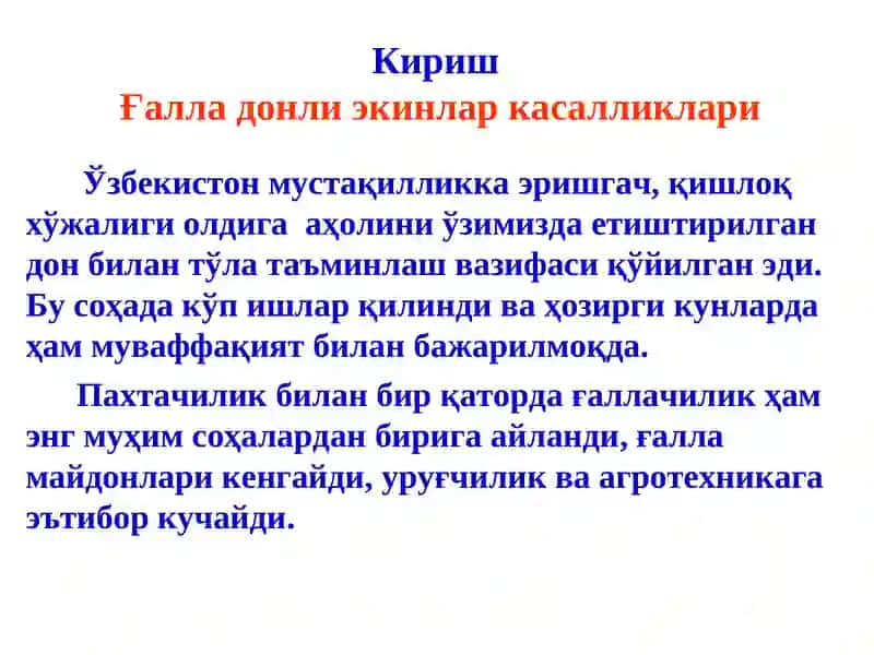 Ғалладонли экинлар касалликлари хамда уларга қарши кураш чоралари 3
