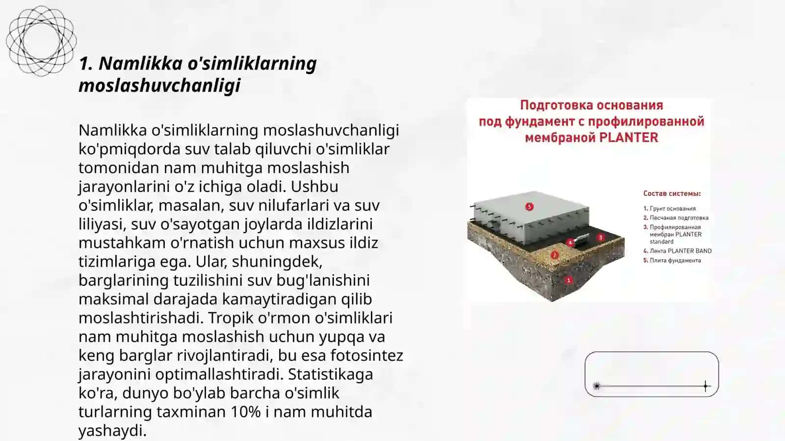 Namlikka nisbatan oʻsimliklarning ekologik guruhlari 3