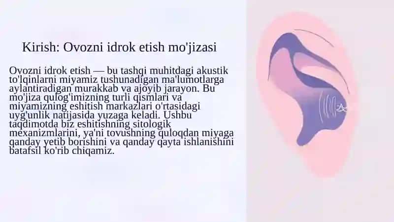 Eshitishning sitologik mexanizmlari 3