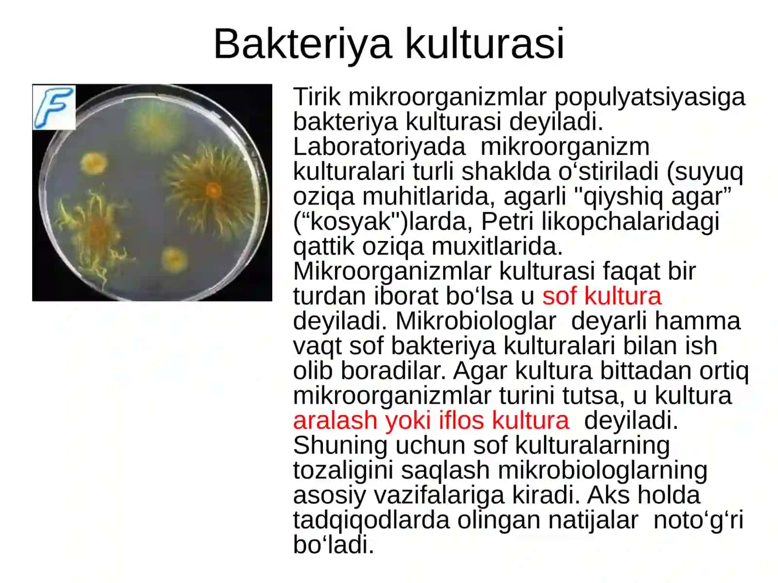 Mikrobiologiya tadqiqodlarinining asosiy metodlari 3