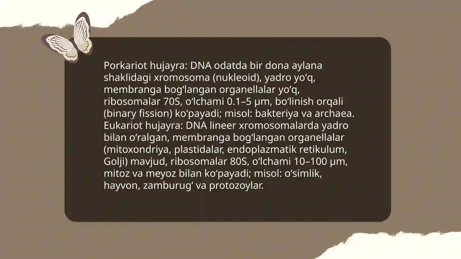Porkariot va eukariot hujayralarning umumiy tuzulishi 3
