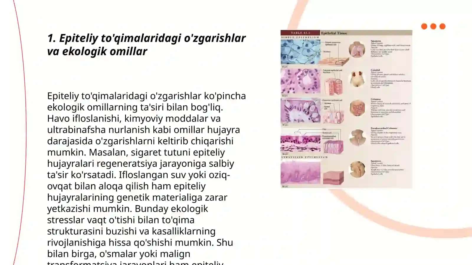 Kóp hujayrali organizm tóqimalari (epiteliy,biriktiruvchi,muskul va nerv) munosabatlarining buzilishi oqibatlari va bu jarayonda ekologik omillarning róli 3