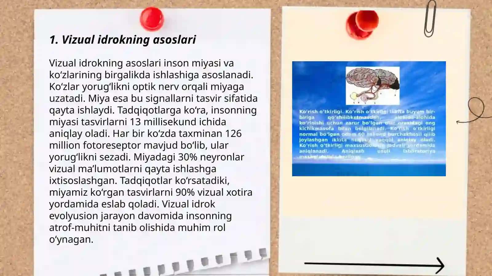 Ko'rish idrok asimmetriyasi 3