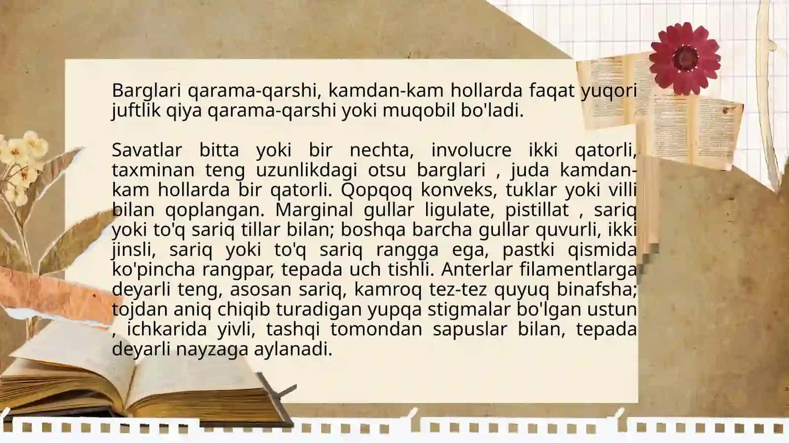 Shimoliy Amerika o'simliklari 3