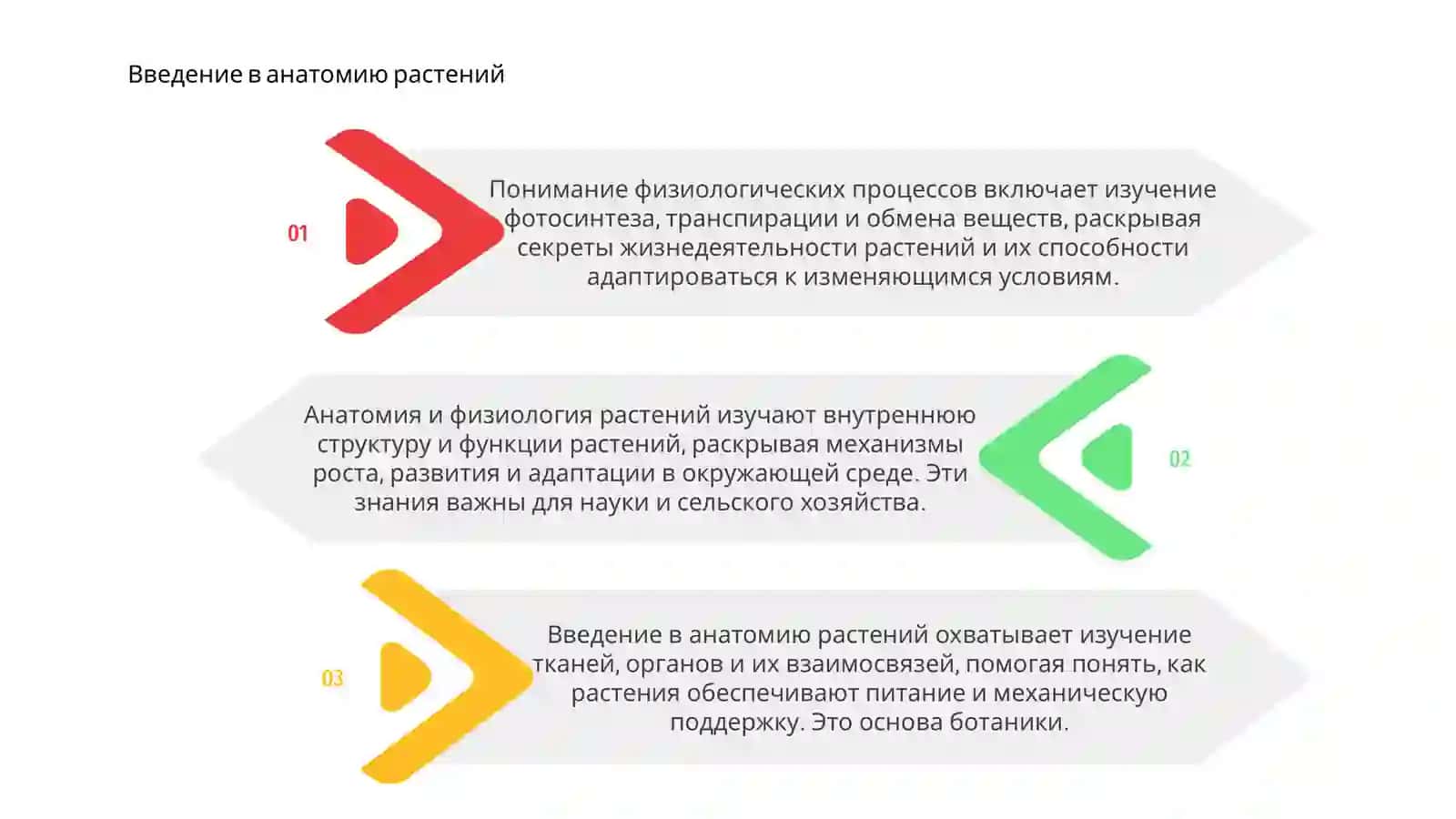 Анатомия и физиология растений 3