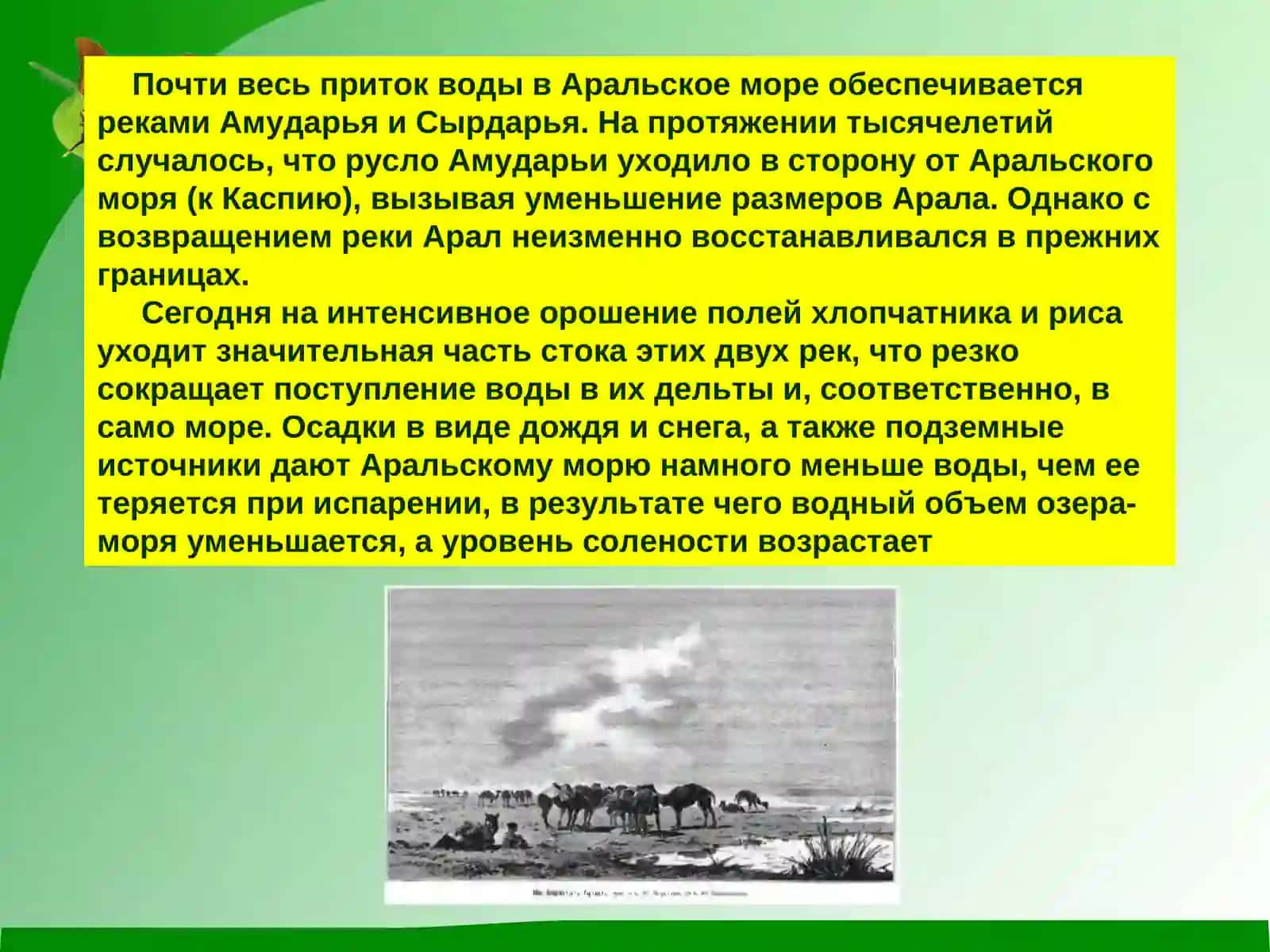 Аральское море и причины его гибели 3