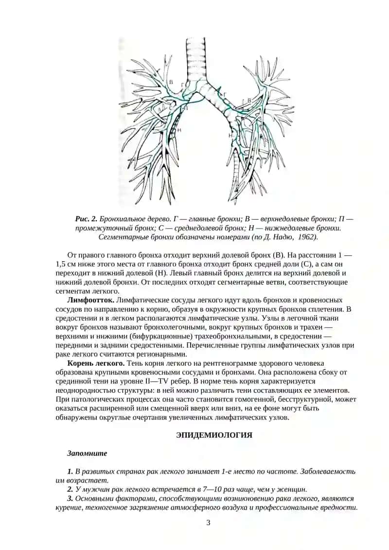 Рак легкого 3