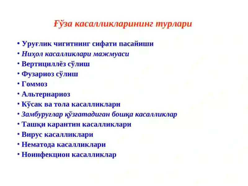 ҒЎЗА КАСАЛЛИКЛАРИ ВА УЛАРГА ҚАРШИ КУРАШ ЧОРАЛАРИ 3