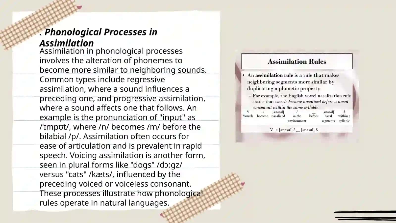 Assimilation and elision 3