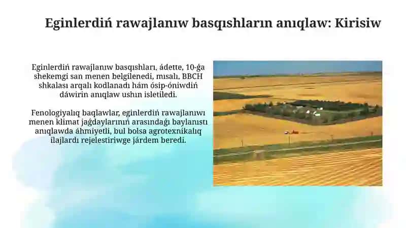 Awil xojaliq eginleri rawajlaniw fazalarin aniqlaw 3