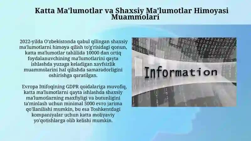 Katta Ma'lumotlar va Shaxsiy Ma'lumotlar Himoyasi Muammolari 3