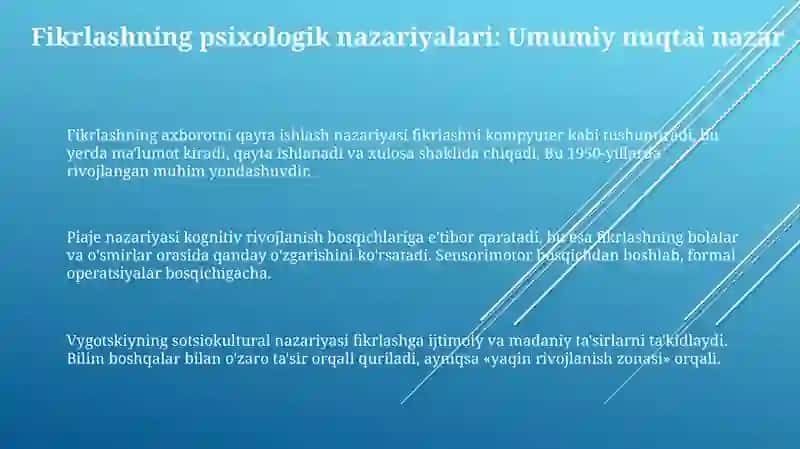 Fikrlashning axborotni qayta ishlash nazariyasi 3