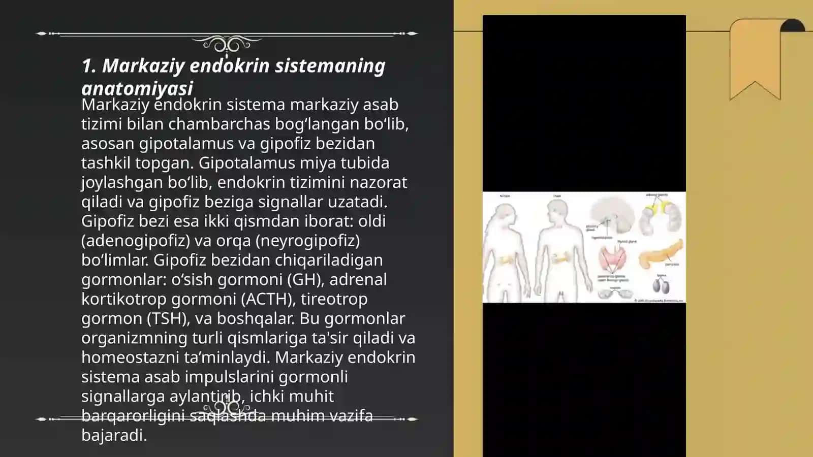 Markaziy endakarin azolari gistalagik tuzilishi 3