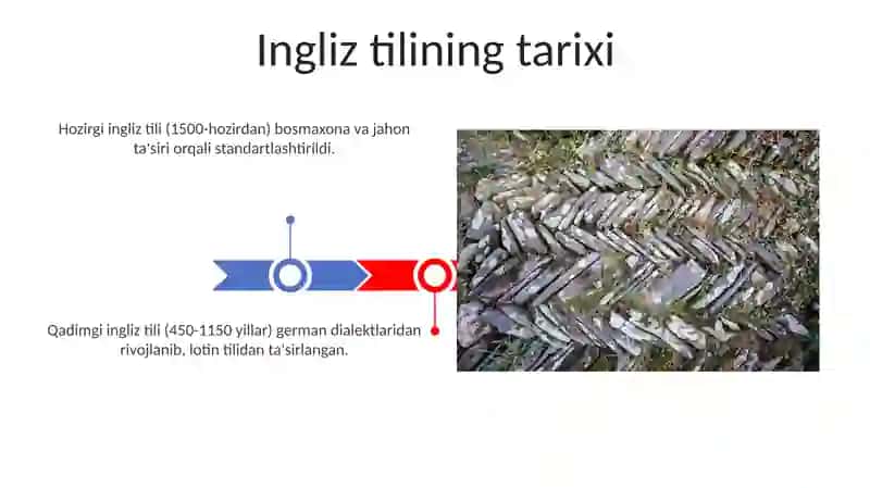 Ingliz tili 3