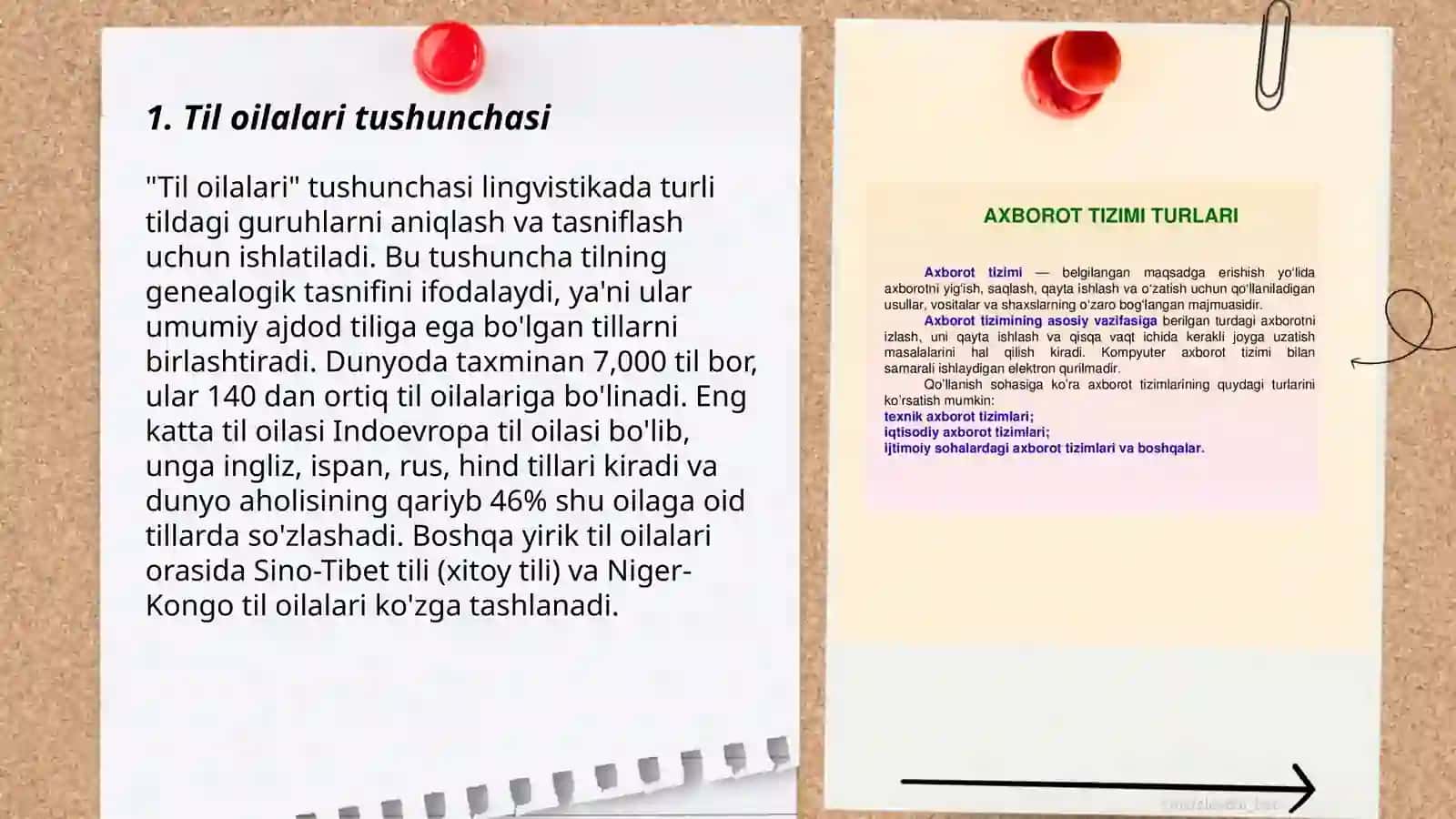 Til oilalari dunyo tillari tillar tasnifi tasnif turlari 3