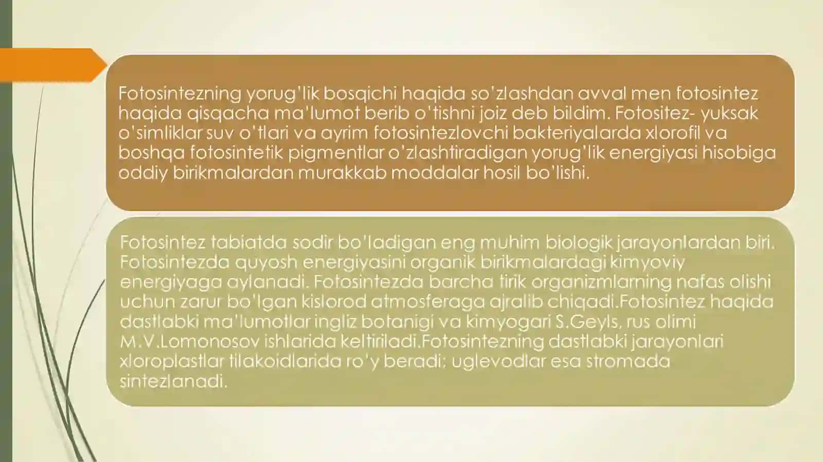 Fotosintezning yorugʻlik bosqichi 3