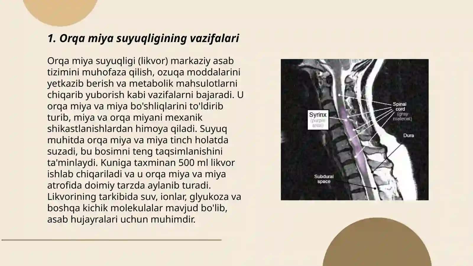 Spinal suyuqlik haqida ma'lumot va unda yuzaga chiqadigan kasallik 3