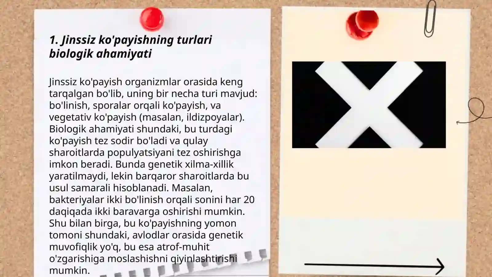 Jinssiz va jinsiy ko'payishning biologik ahamiyati 3