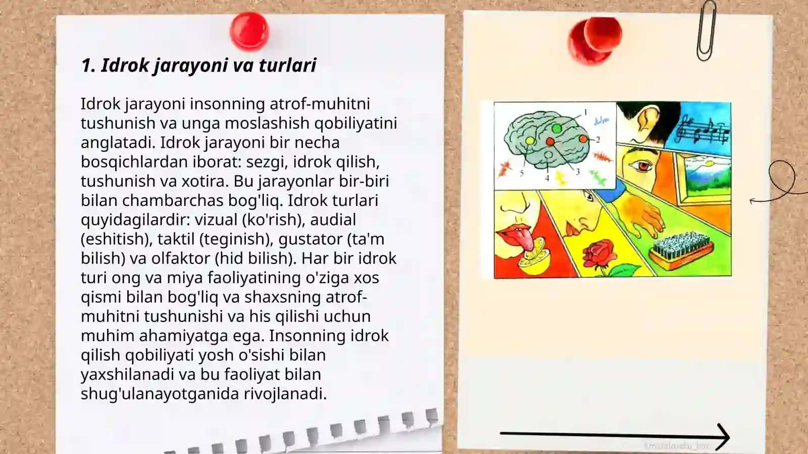 Idrok va xayol 3