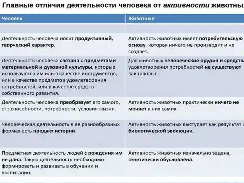 Лекция5. Деятельность 3
