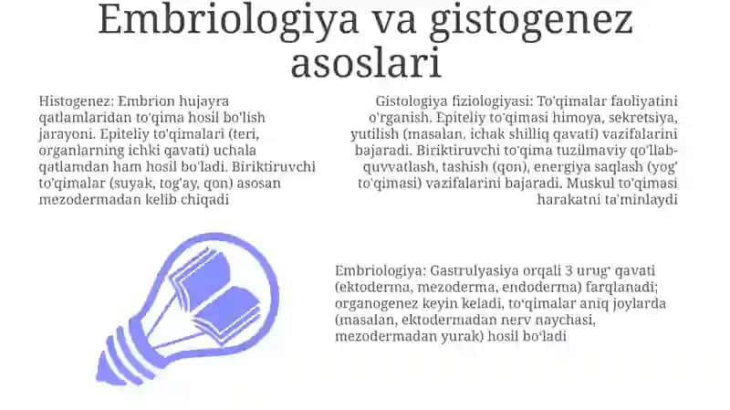 Sut bezlari gistogenezi va gistafiziologiyasi 3