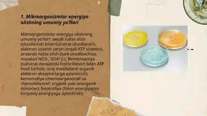 Mikroorganizmlar tomonidan energiya olish usullari 3