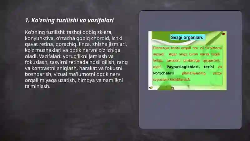 Sezgi azolari 3