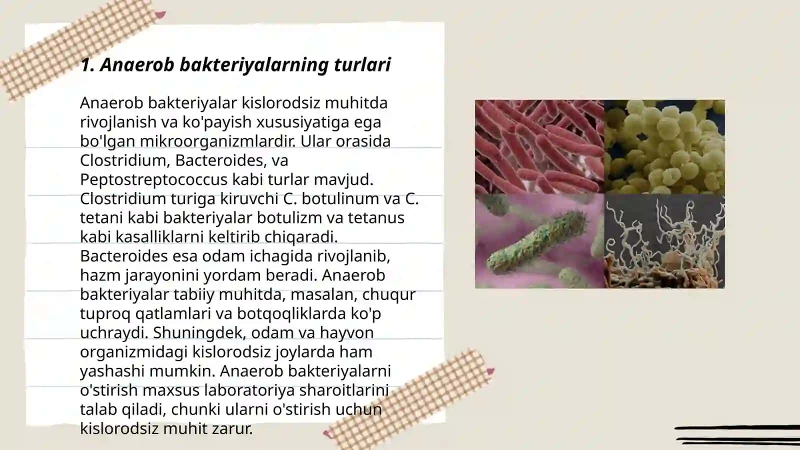 Anaerob bakteriyalarni sof kulturasini ajratib olish usullari 3