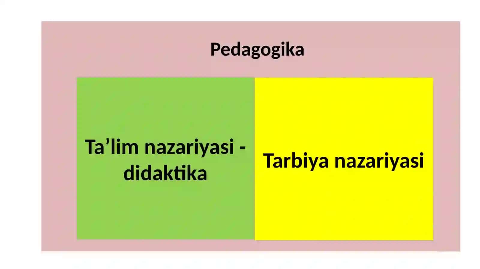 Didaktika – o‘qitish nazariyasi sifatida 3