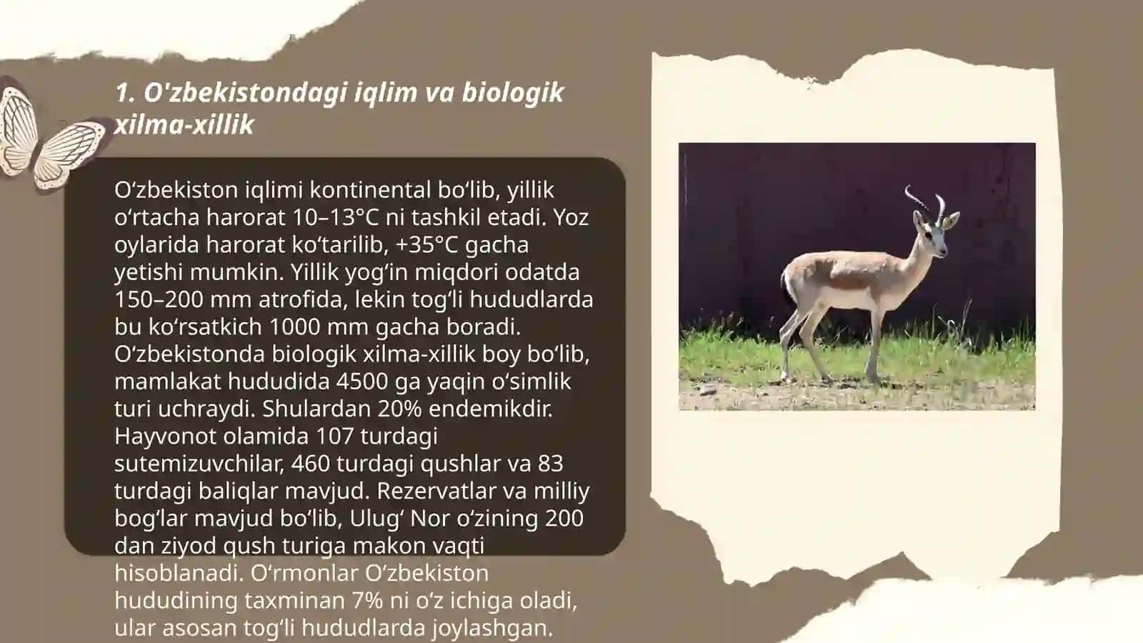 O'zbekistondagi noyob va yo'qolib ketayotgan hayvon turlari soni 3