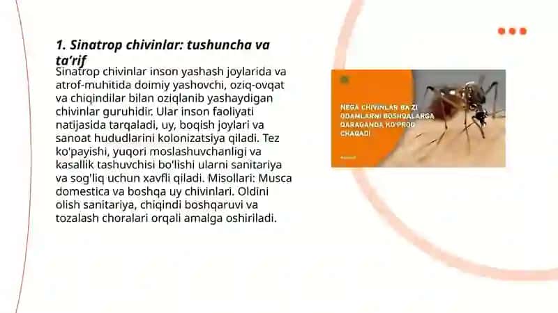 Sinatrop chivinlar haqida ma'lumot va ularga qarshi kurash 3