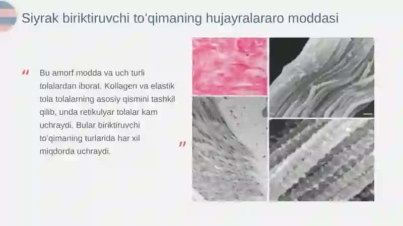 Siyrak biriktiruvchi toʻqima 3