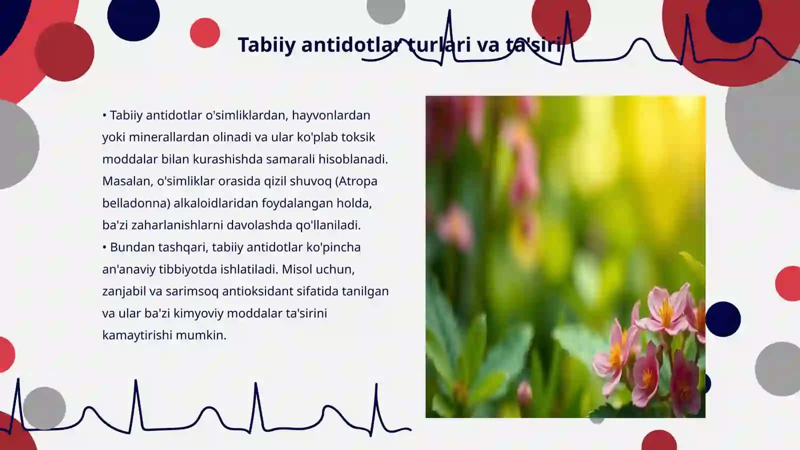 Tabiiy va sintetik antidotlar 3