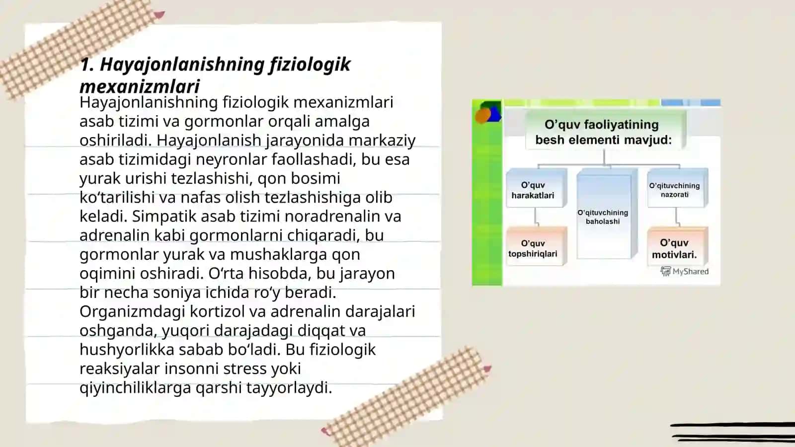 Hayajonlanishning fizologik asoslari 3