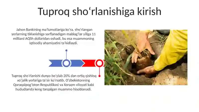 Shoʻrlangan tuproqlar va uni oldini olish chora tadbirlari 3