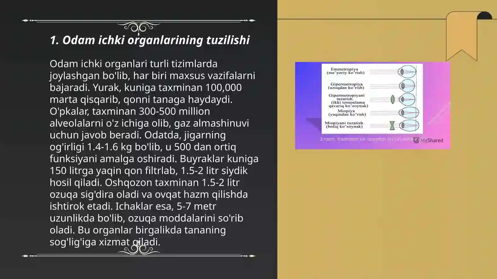 Odamlar Tana Tuzilishi va Funksiyalari. Analizatorlar Tuzilishi va Vazifalari 3