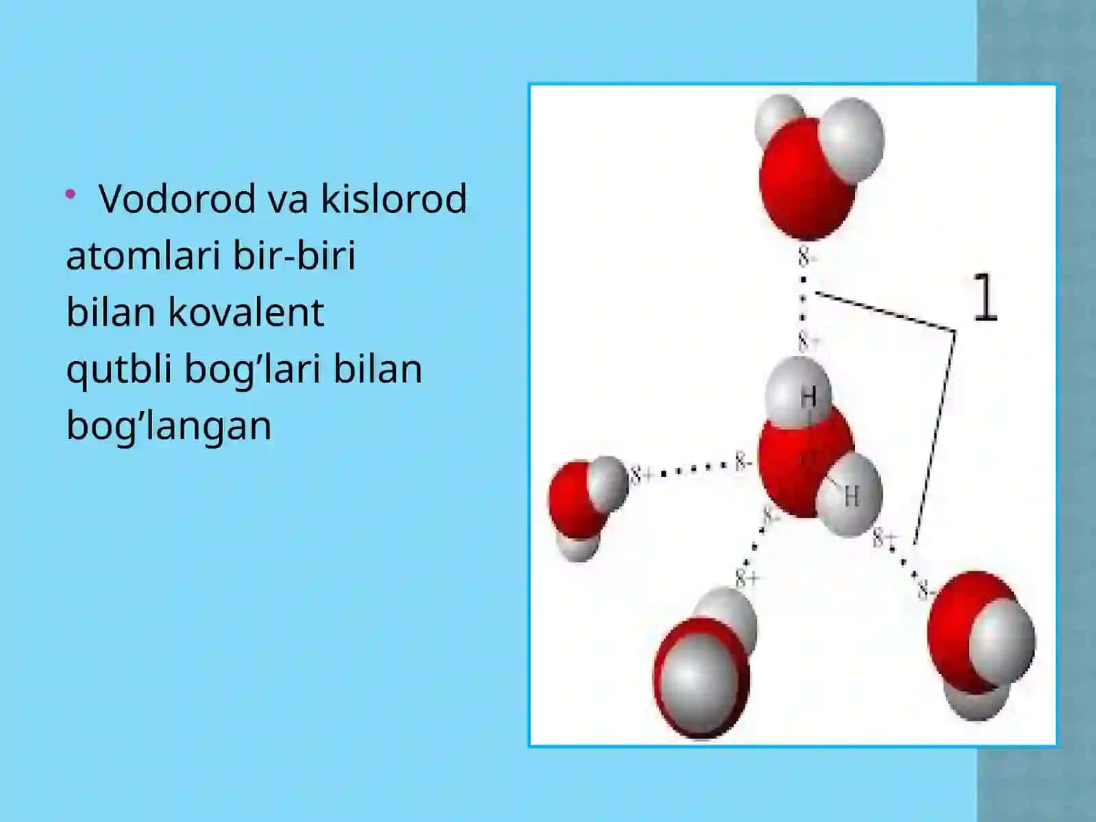 Suvning tuzilishi, xususiyatlari va biologik funksiyasi 3
