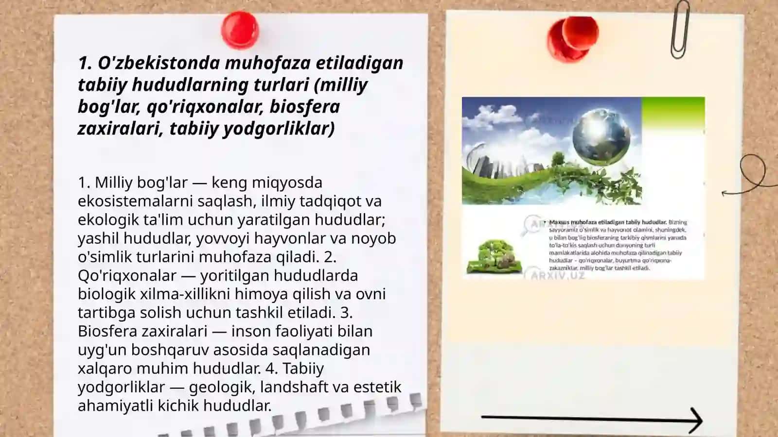 O'zbekistonda muhofaza etiladigan tabiiy hududlar 3