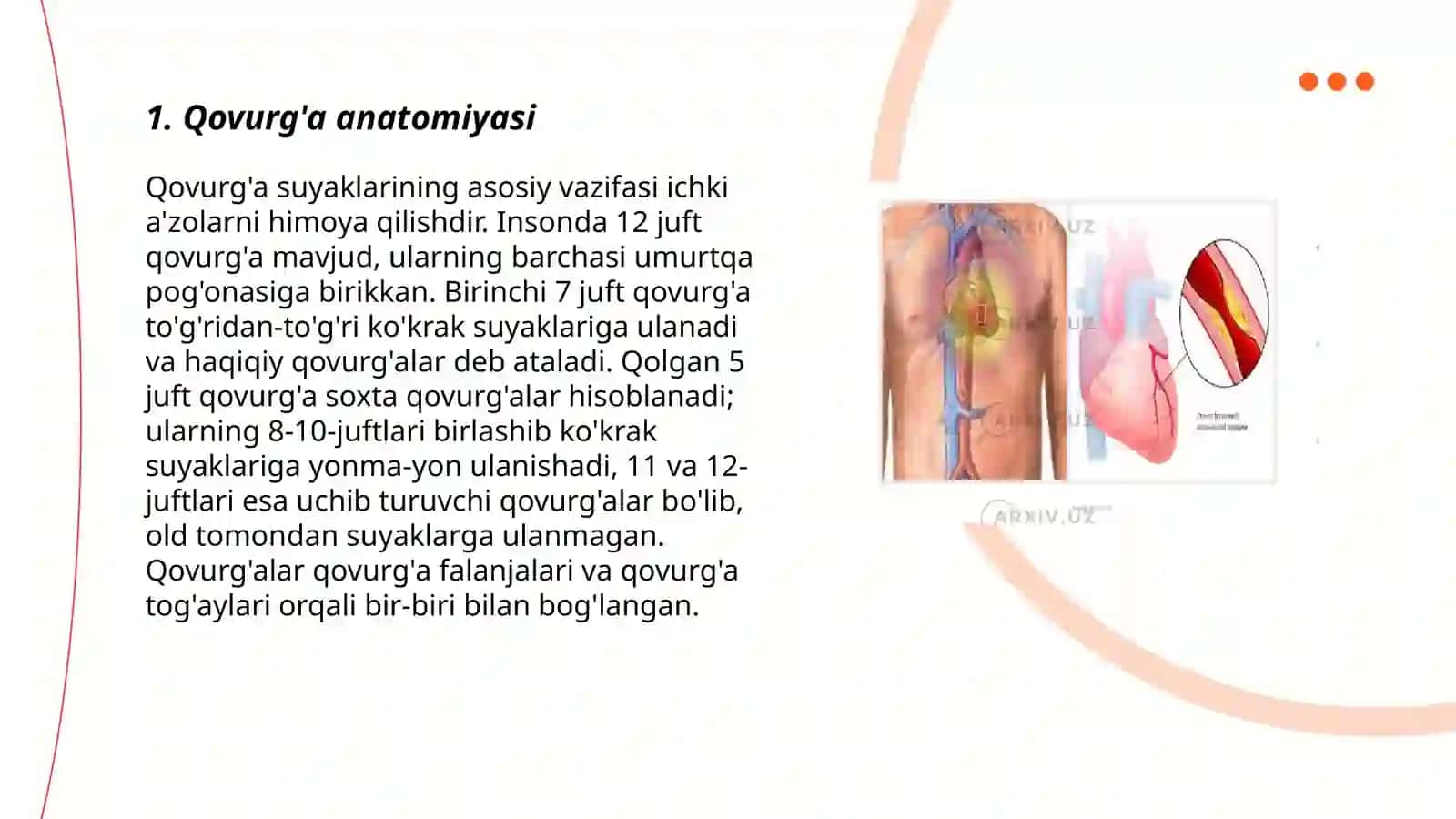 Qovurgʻalar, toʻsh suyagi va koʻkrak qafasi suyaklari 3