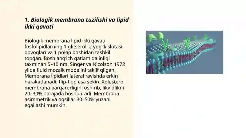 Biologik membranalar 3