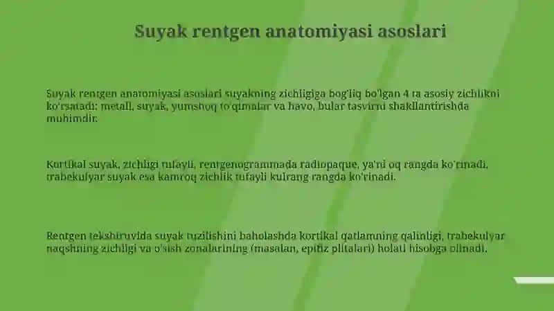 Skelet suyaklarining rengenanatomiya 3