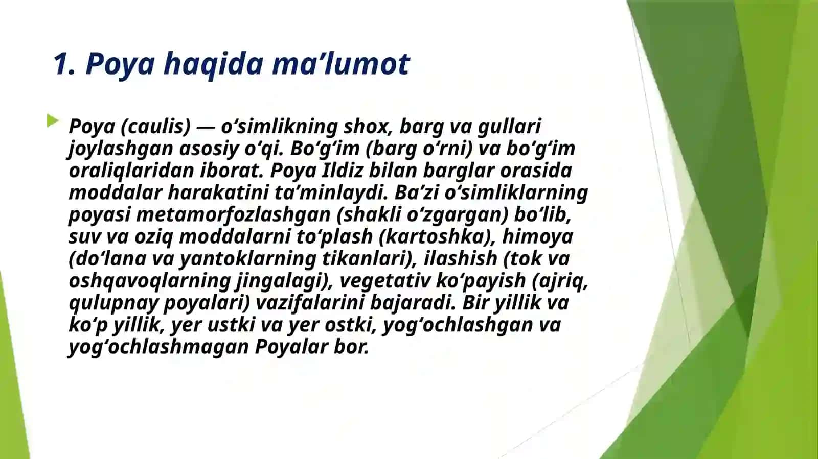 Poyaning birlamchi va ikkilamchi anatomik tuzilishi 3