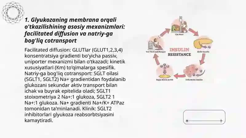 Glyukozani membrana orqali o'tkazilishi 3