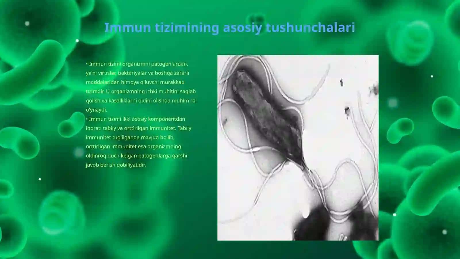 Organizmining immun tizimi 3