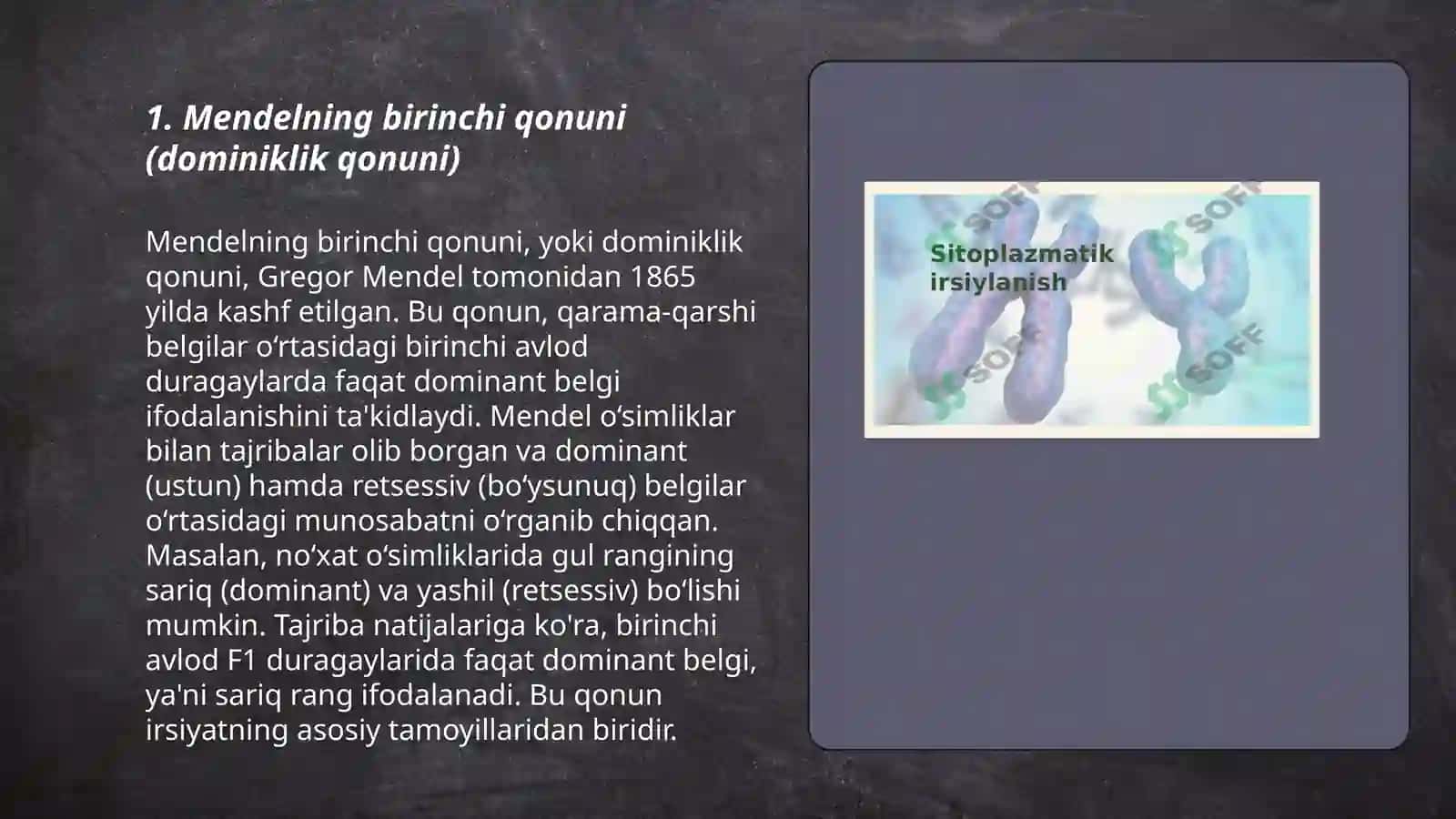 Mendelning birinchi qonuni (dominiklik qonuni) 3
