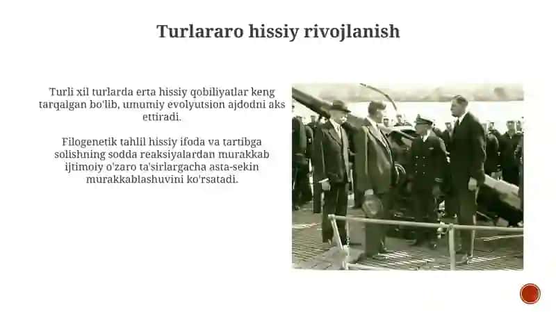 Psixikaning filogenetik taraqqiyoti 3